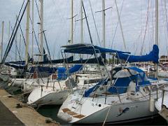 183 D37 LA LONDE DES MAURES ETR SES ENVIRONS_000016